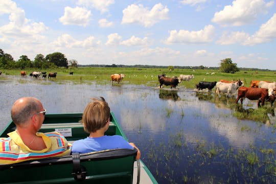 Combo de tour de una hora por los Everglades y parque Safari