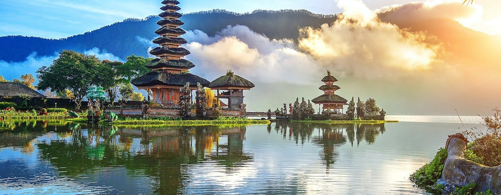 Visite personnalisable d'une journée complète à Bali avec chauffeur privé