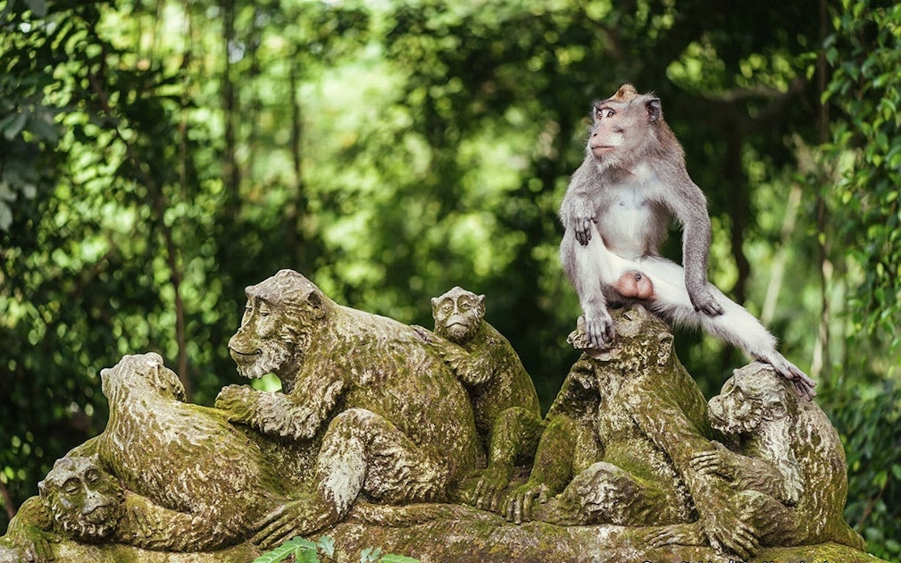Must-sees in Ubud Must-sees in Ubud