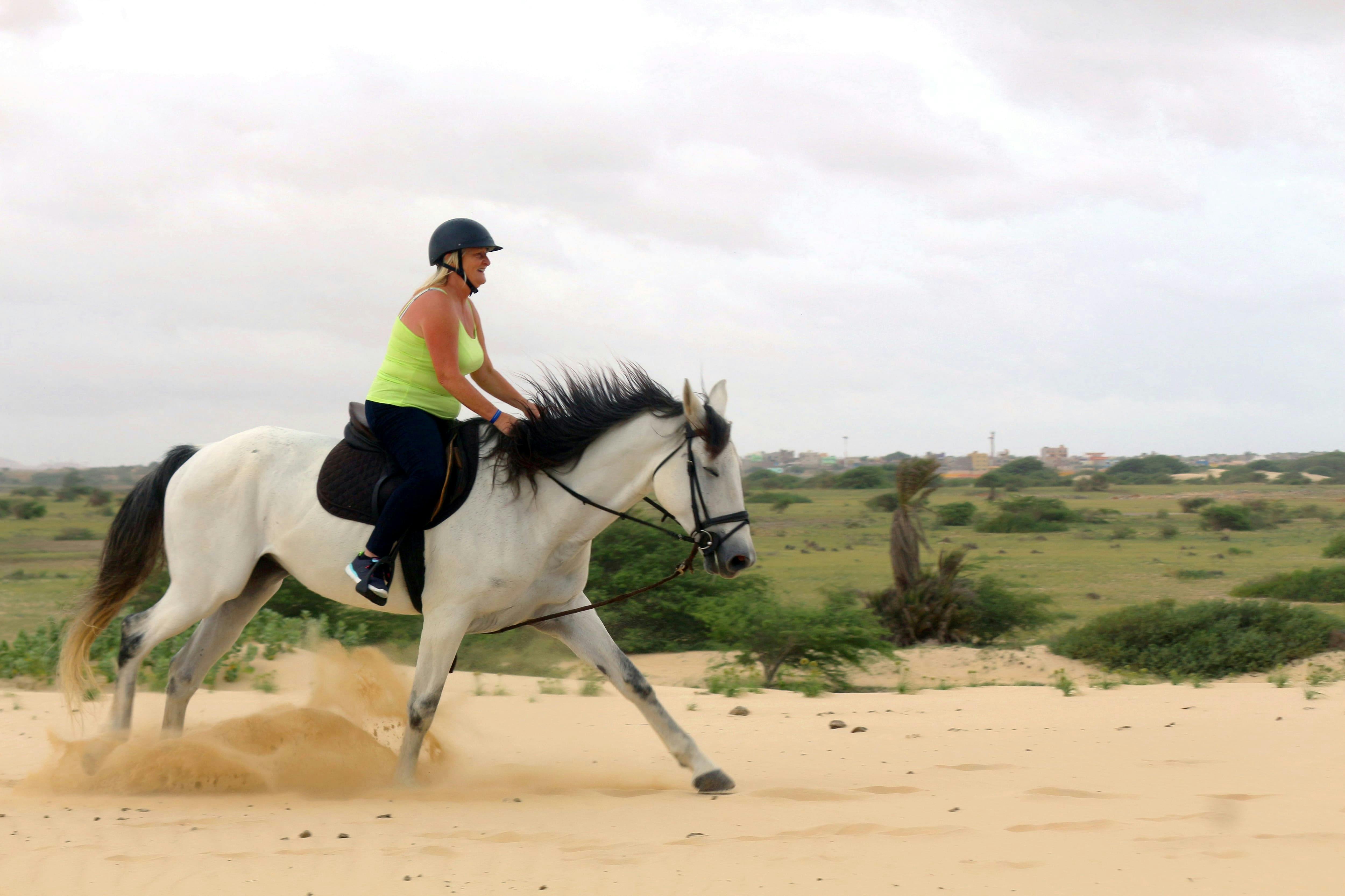 Boa Vista Horse Riding Experience