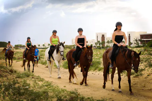 Boa Vista Horse Riding Experience