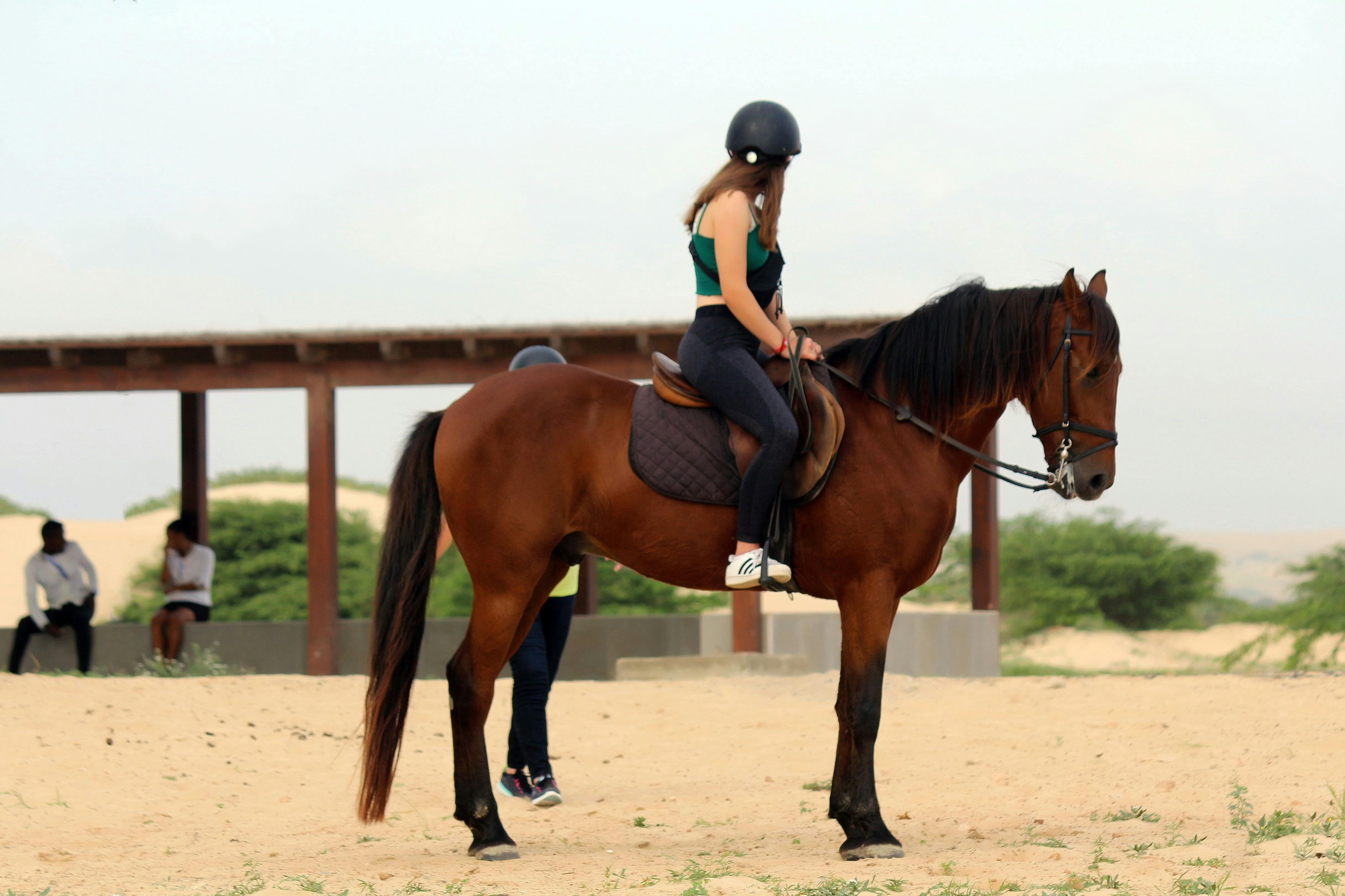 Boa Vista Horse Riding Experience