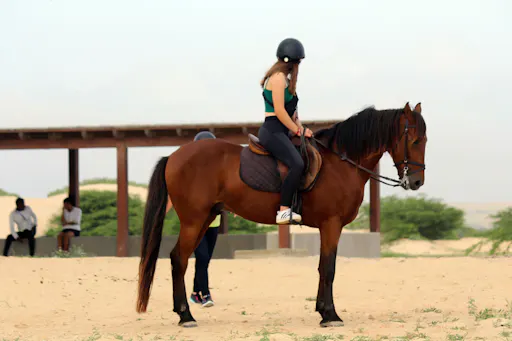 Boa Vista Horse Riding Experience
