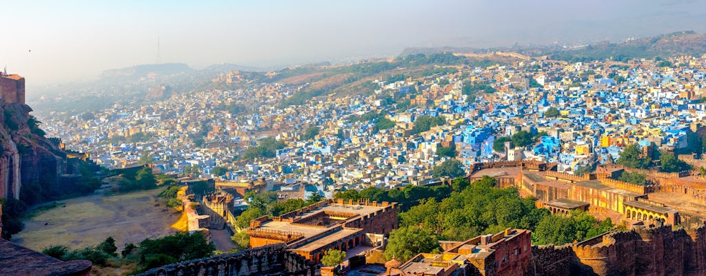 Visite privée d'une demi-journée de la ville de Jaipur