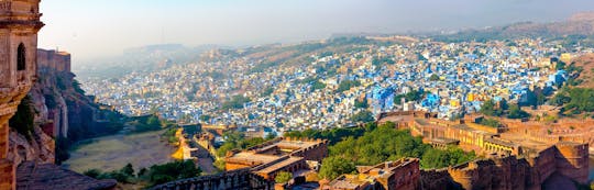 Halve dag stadstour door Jaipur