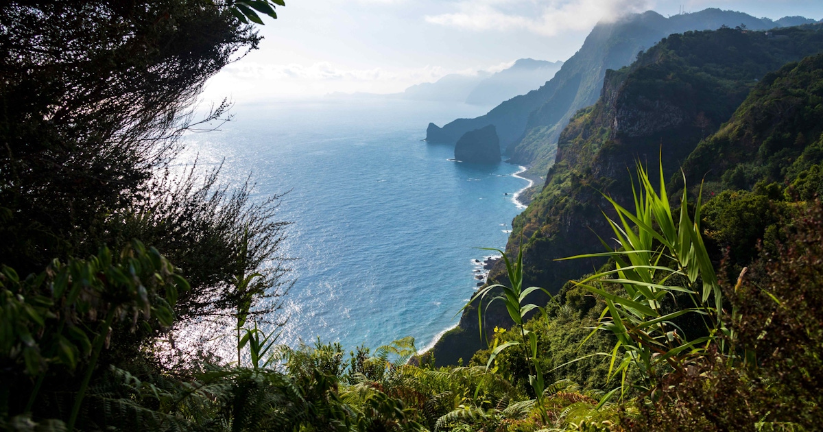 Madeira: What to Do, What to Book, and How to Plan It (Tips + FAQ) Madeira: What to Do, What to Book, and How to Plan It (Tips + FAQ)