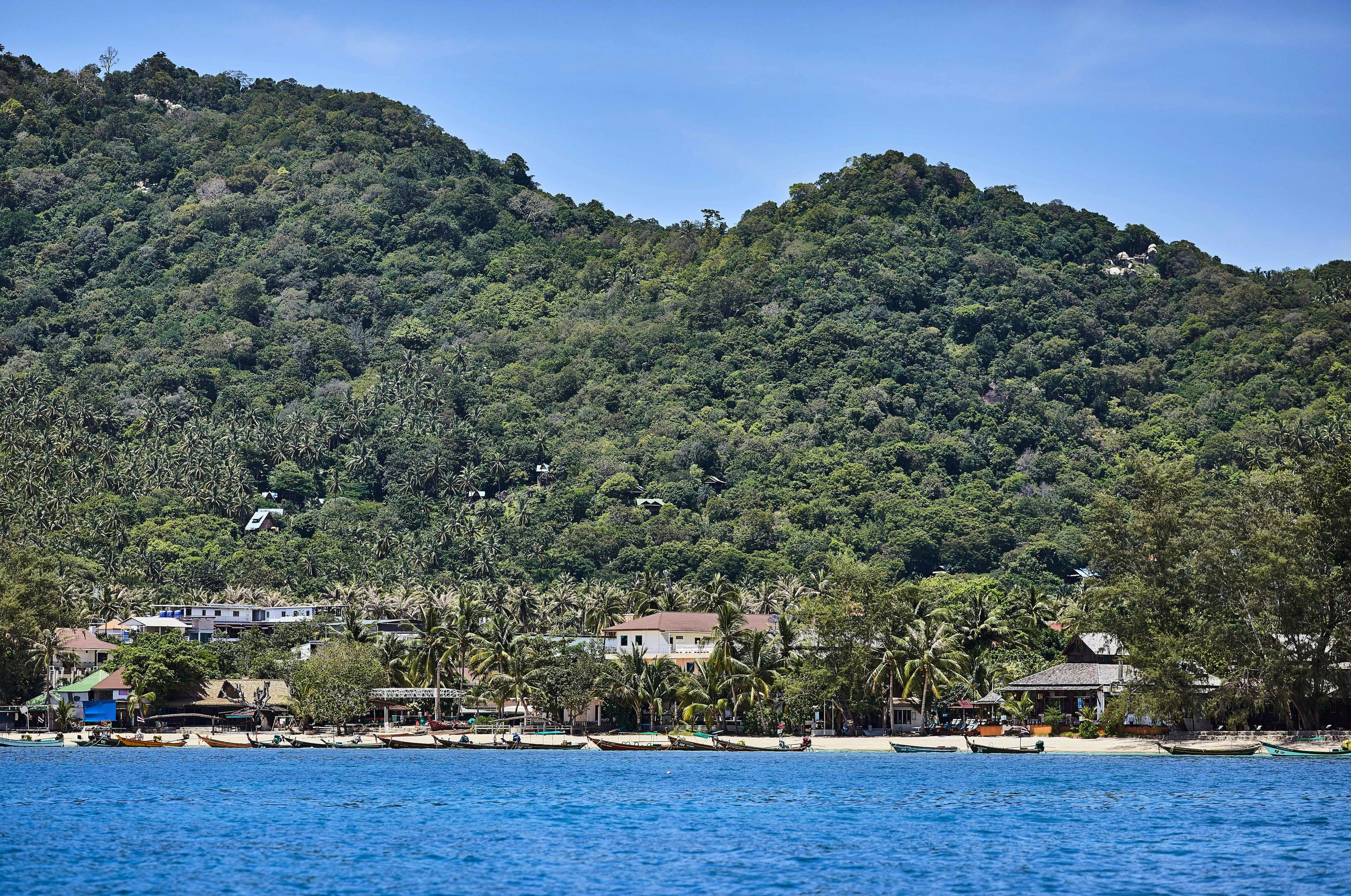 Full Day Ko Tao & Ko Nang Yuang by Speedboat