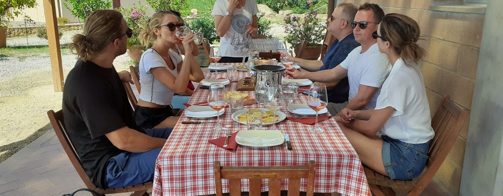 Tour della cantina del Chianti con 4 degustazioni di vino e 2 olio EVO