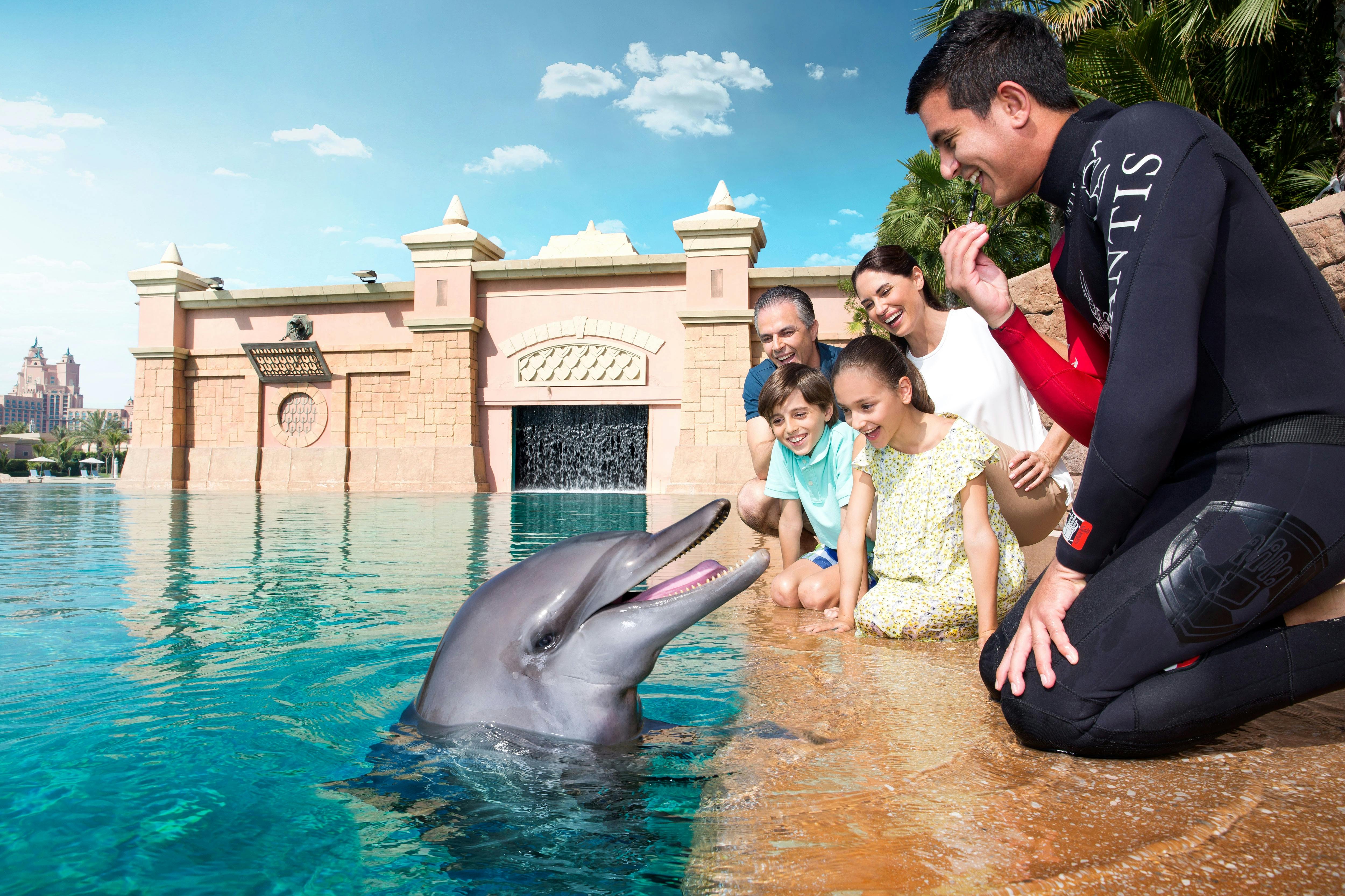 Delfiny spotykają się i pozdrawiają w Atlantis Dubai