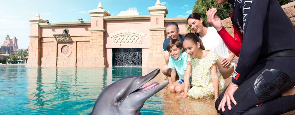 Dolfijnen ontmoeten en begroeten bij Atlantis Dubai