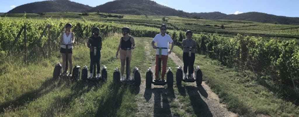Segway™ tour for adventure lovers along the Alsace wine route