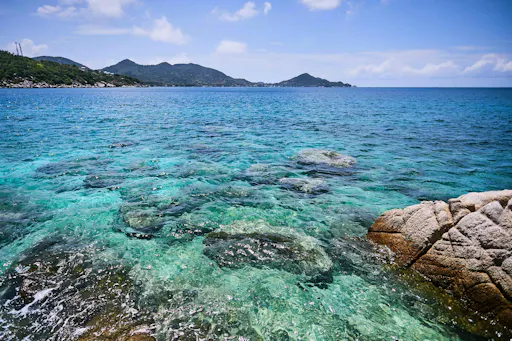 Full Day Ko Tao & Ko Nang Yuang by Speedboat