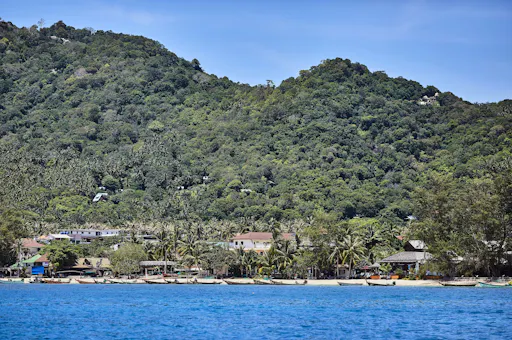 Full Day Ko Tao & Ko Nang Yuang by Speedboat