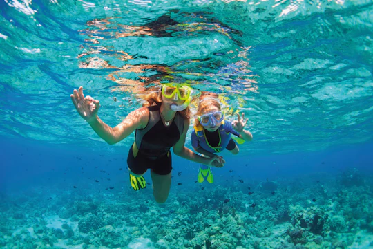 Isla Mujeres reef snorkelling at Albatros Beach Club