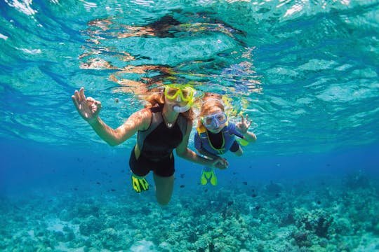 Visite de plongée libre du récif d'Isla Mujeres