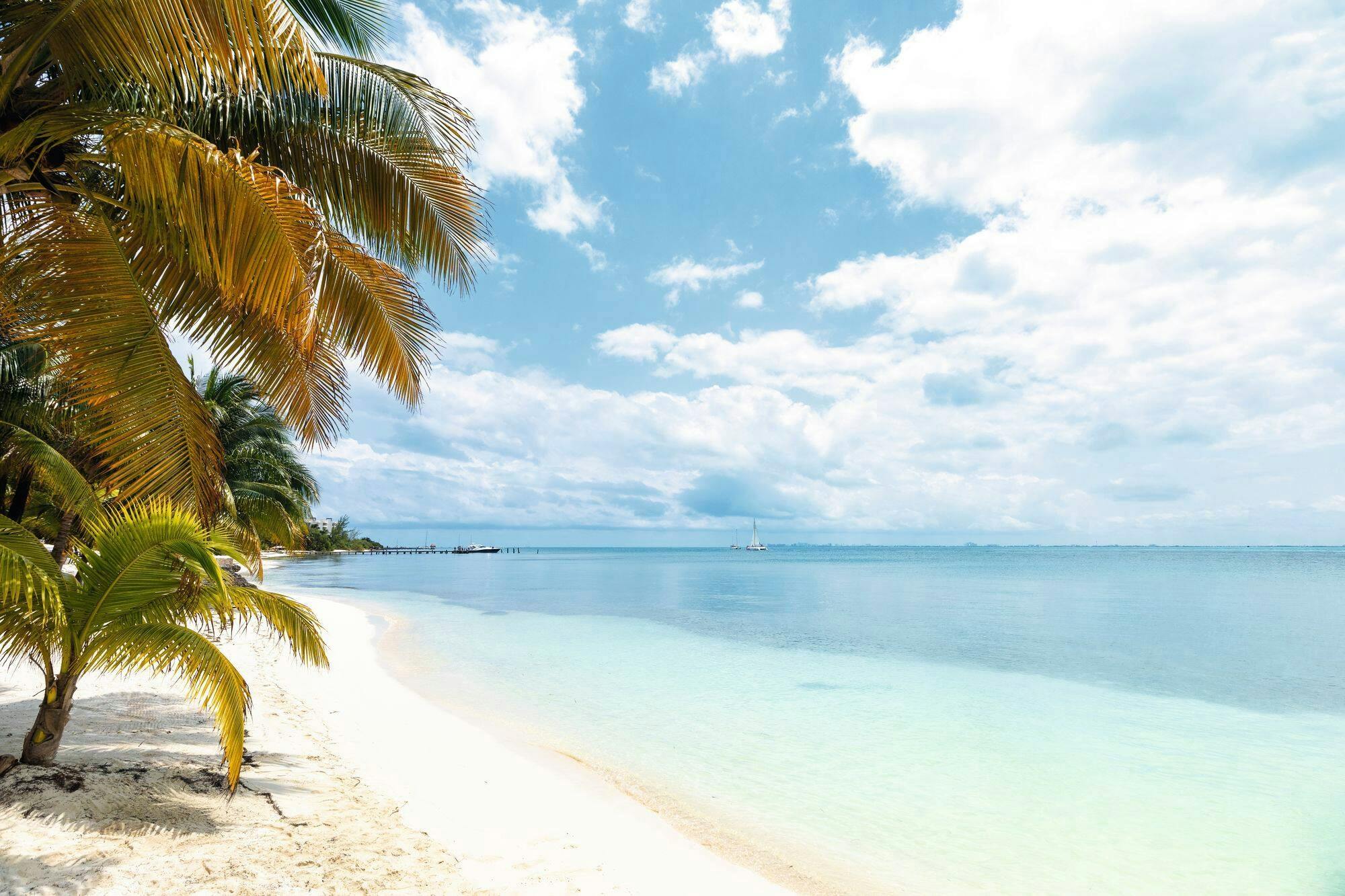 Isla Mujeres Reef Snorkelling Tour