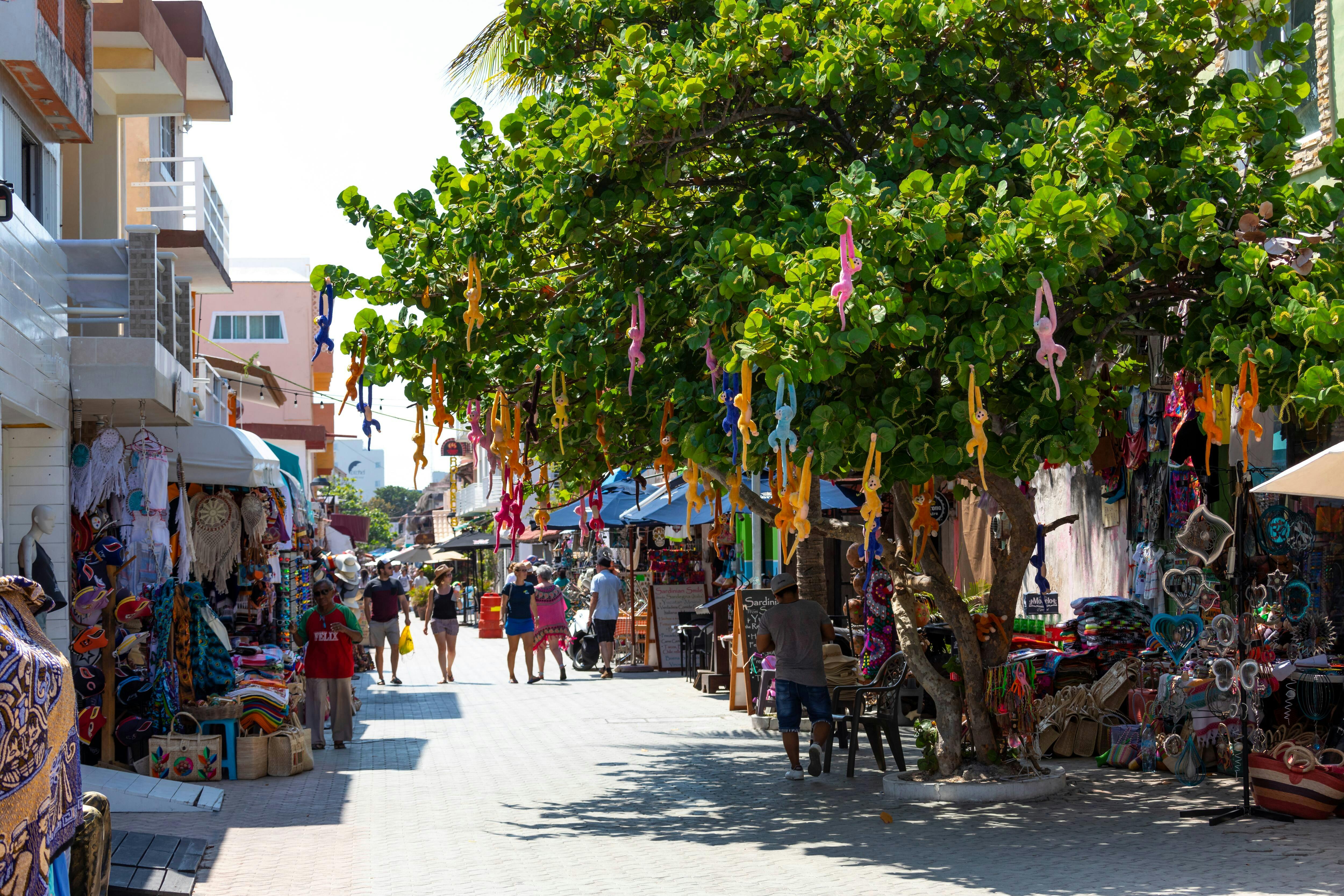 Isla Mujeres Reef Snorkelling Tour