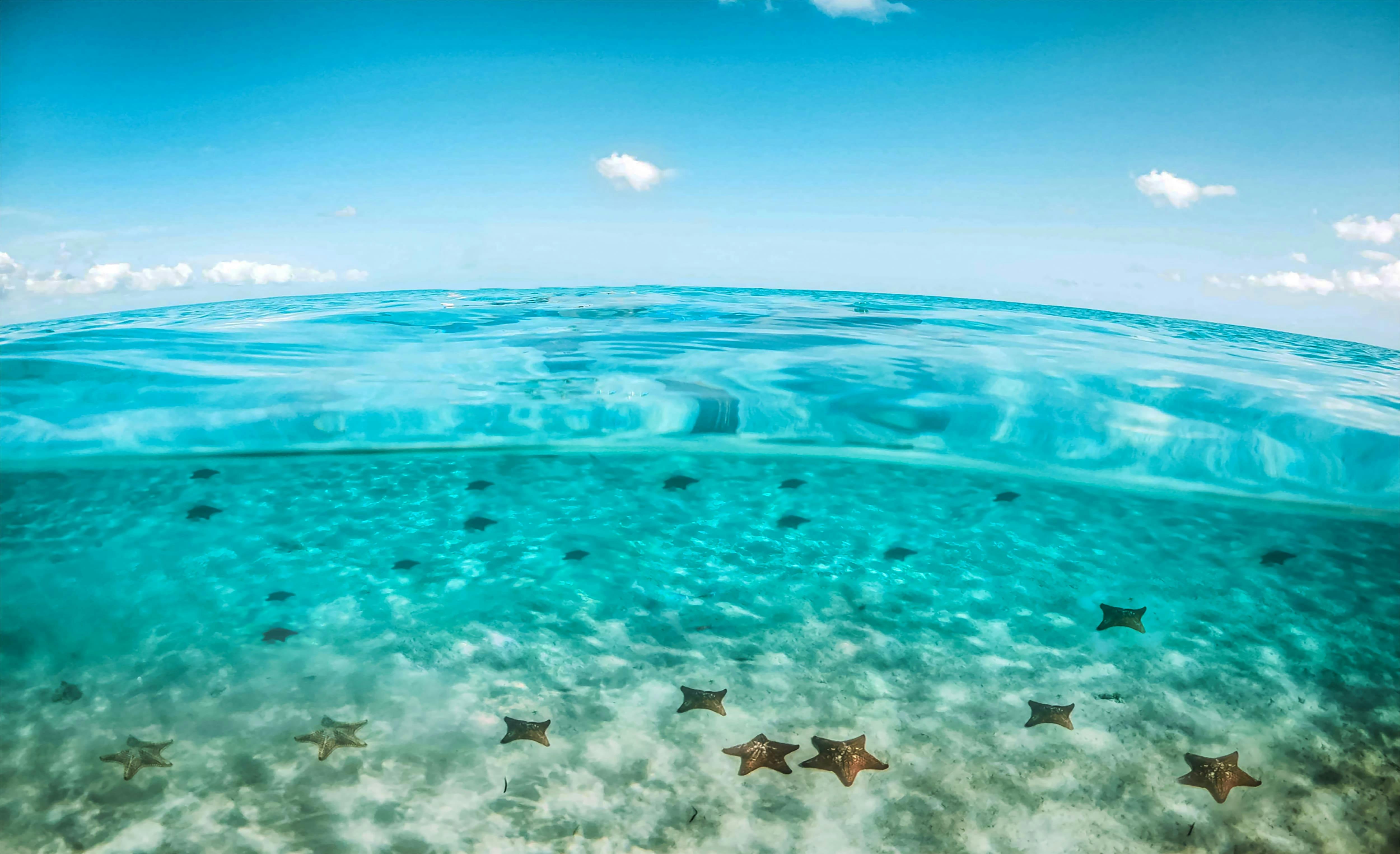 Cozumel El Cielo Snorkel Tour