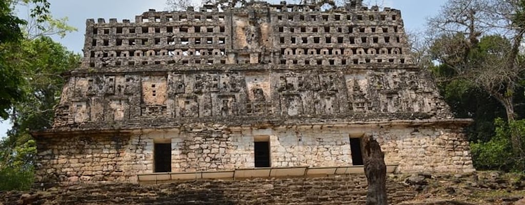 Lacandona Jungle, Yaxchilan and Bonampak full-day guided tour from Palenque