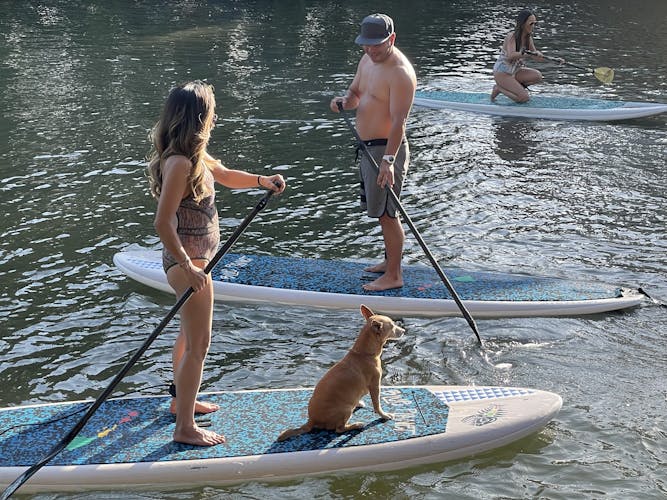 Stand Up Paddle and kayak rental in Oahu