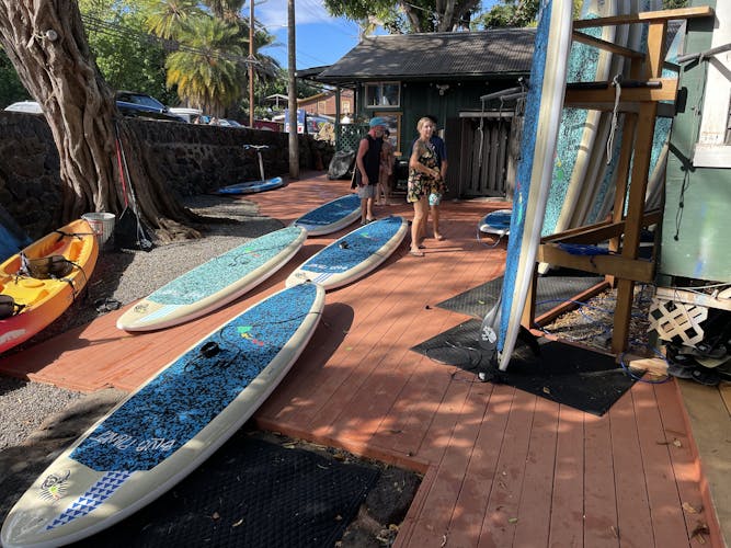 Stand Up Paddle and kayak rental in Oahu