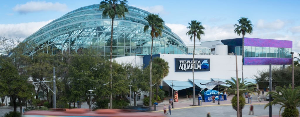 Bilety bez kolejki do akwarium Florida Aquarium w Tampie