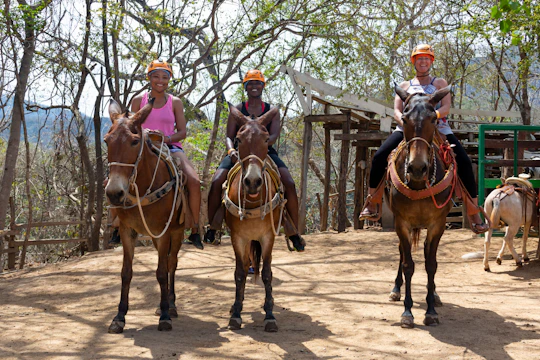 Sierra Madre Muleback Riding Tour