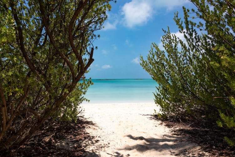 Isla Contoy Tour with Ixlaché Reef Snorkelling