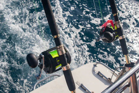El Cid Marina deep-sea fishing experience