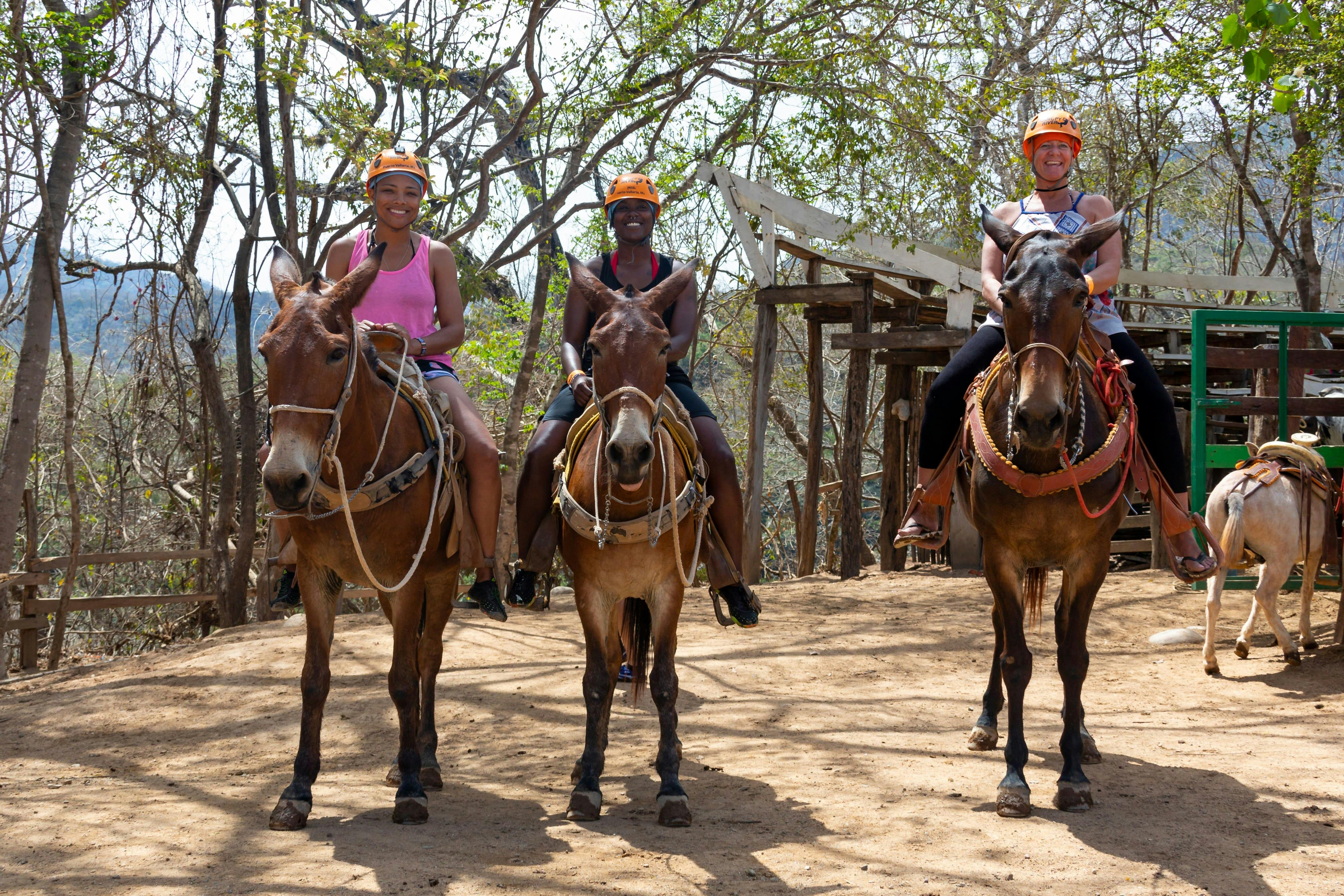 Balade à dos de mule dans la Sierra Madre