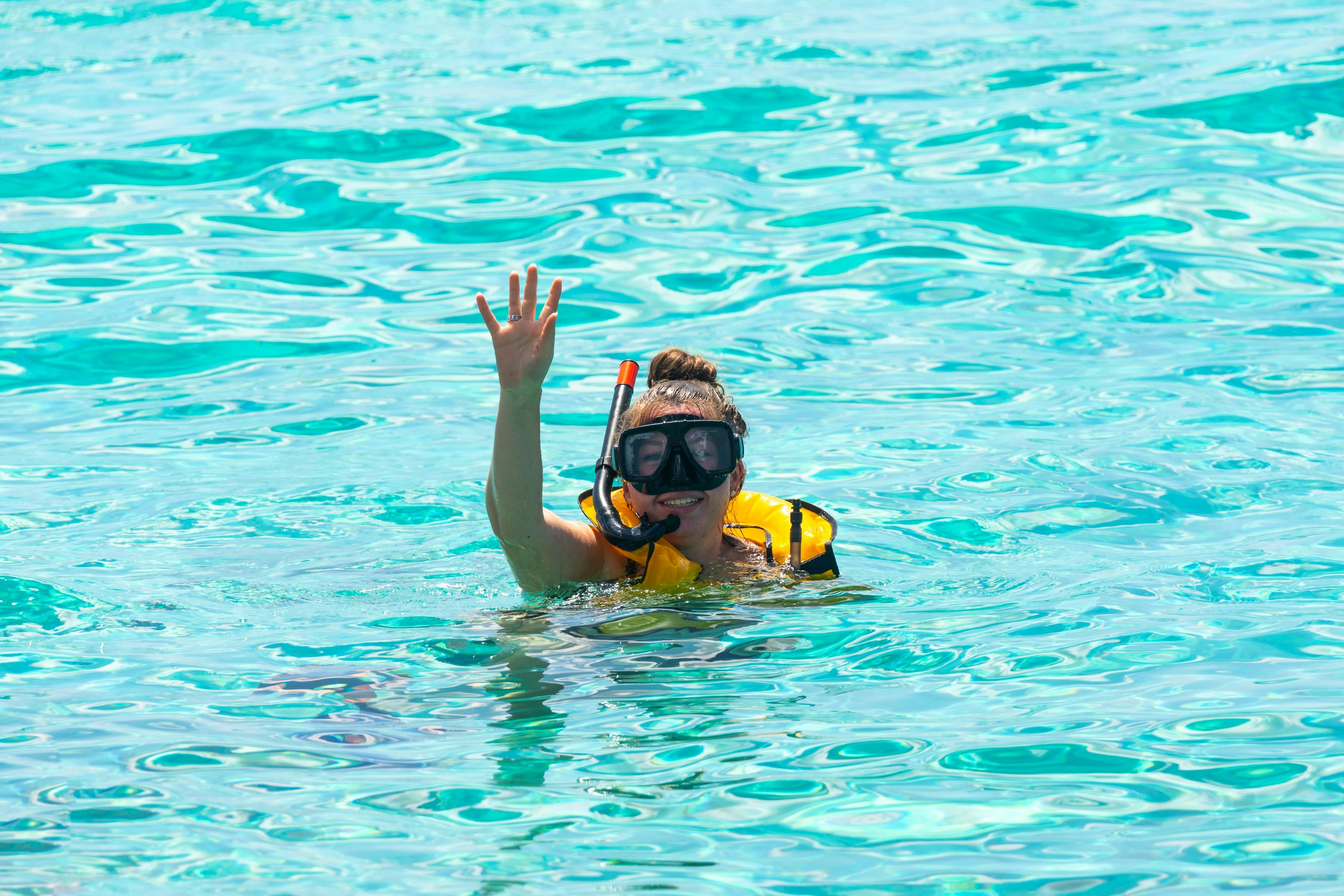 Turtle Snorkelling, Cenote Swim & Beach Club Experience