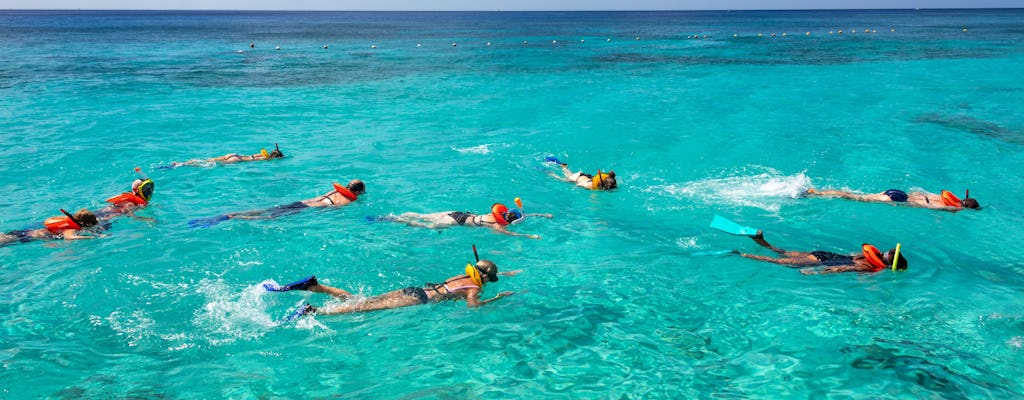 Turtle Snorkelling, Cenote Swim & Beach Club Experience