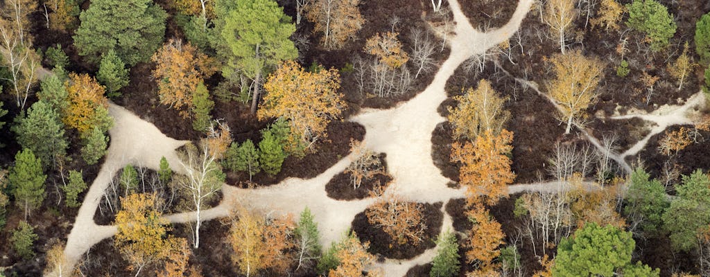 Visite guidée sur la biodiversité dans la forêt de Fontainebleau