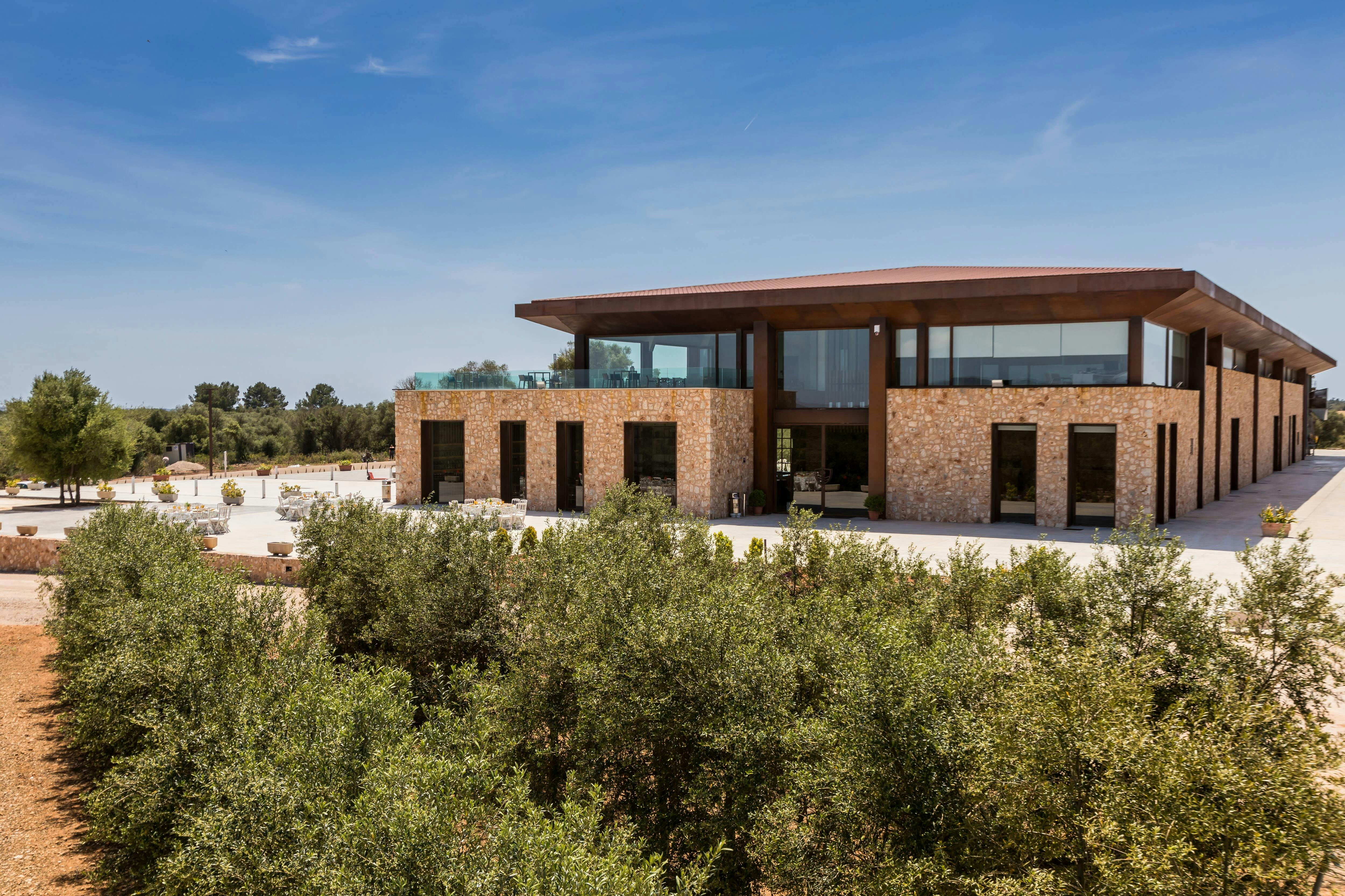 Son Mesquidassa Olive Mill Tour