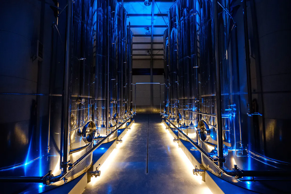 Son Mesquidassa Olive Mill Tour