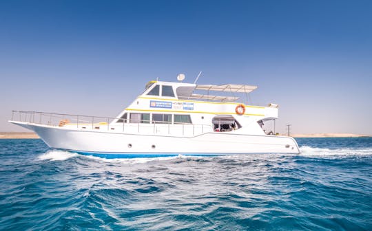 Private boat and snorkeling trip in Marsa Alam with lunch