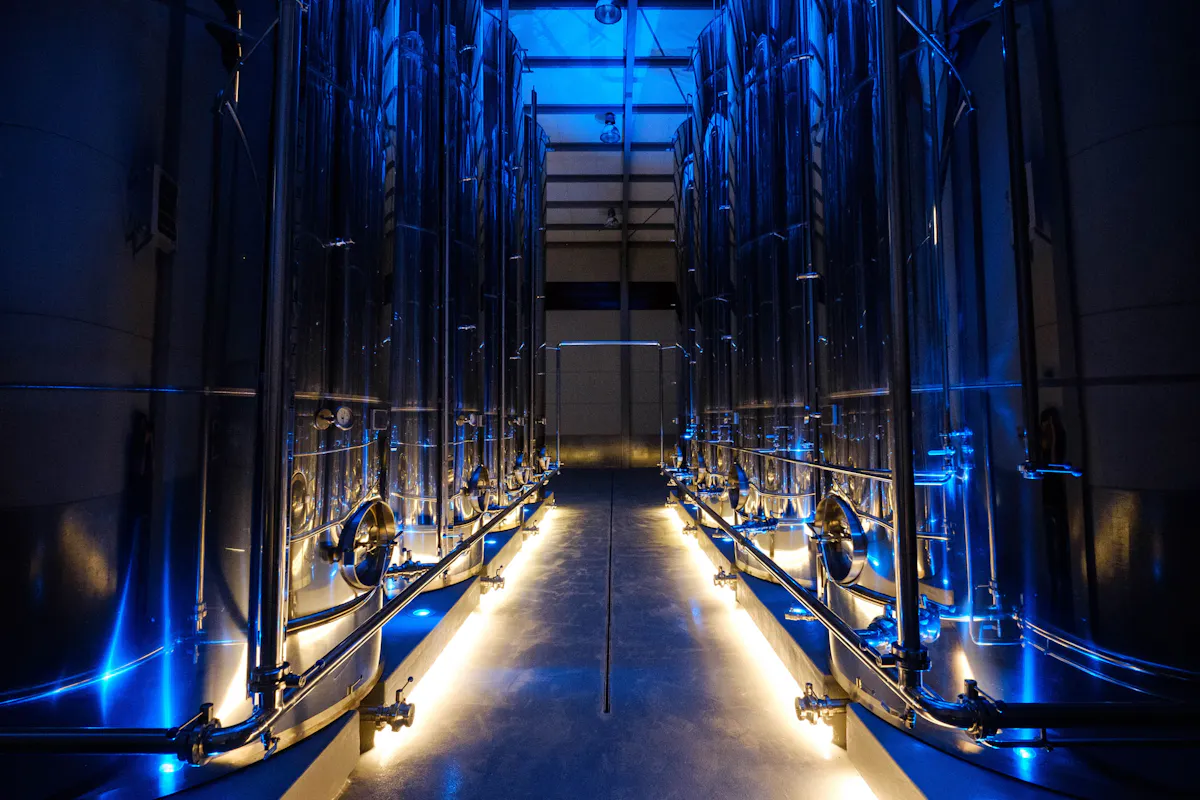 Son Mesquidassa Olive Mill Tour