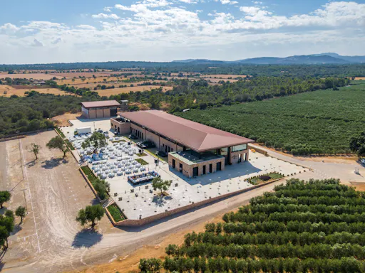 Son Mesquidassa Olive Mill Tour