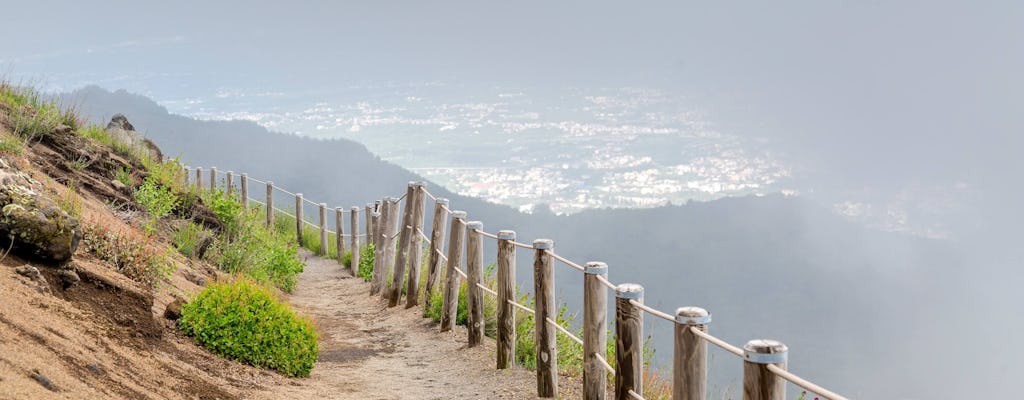 Pompeii & Vesuvius From Amalfi Coast