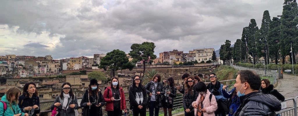 Herculaneum Augmented Reality tour with entrance ticket