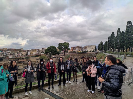 Herculaneum Augmented Reality tour with entrance ticket