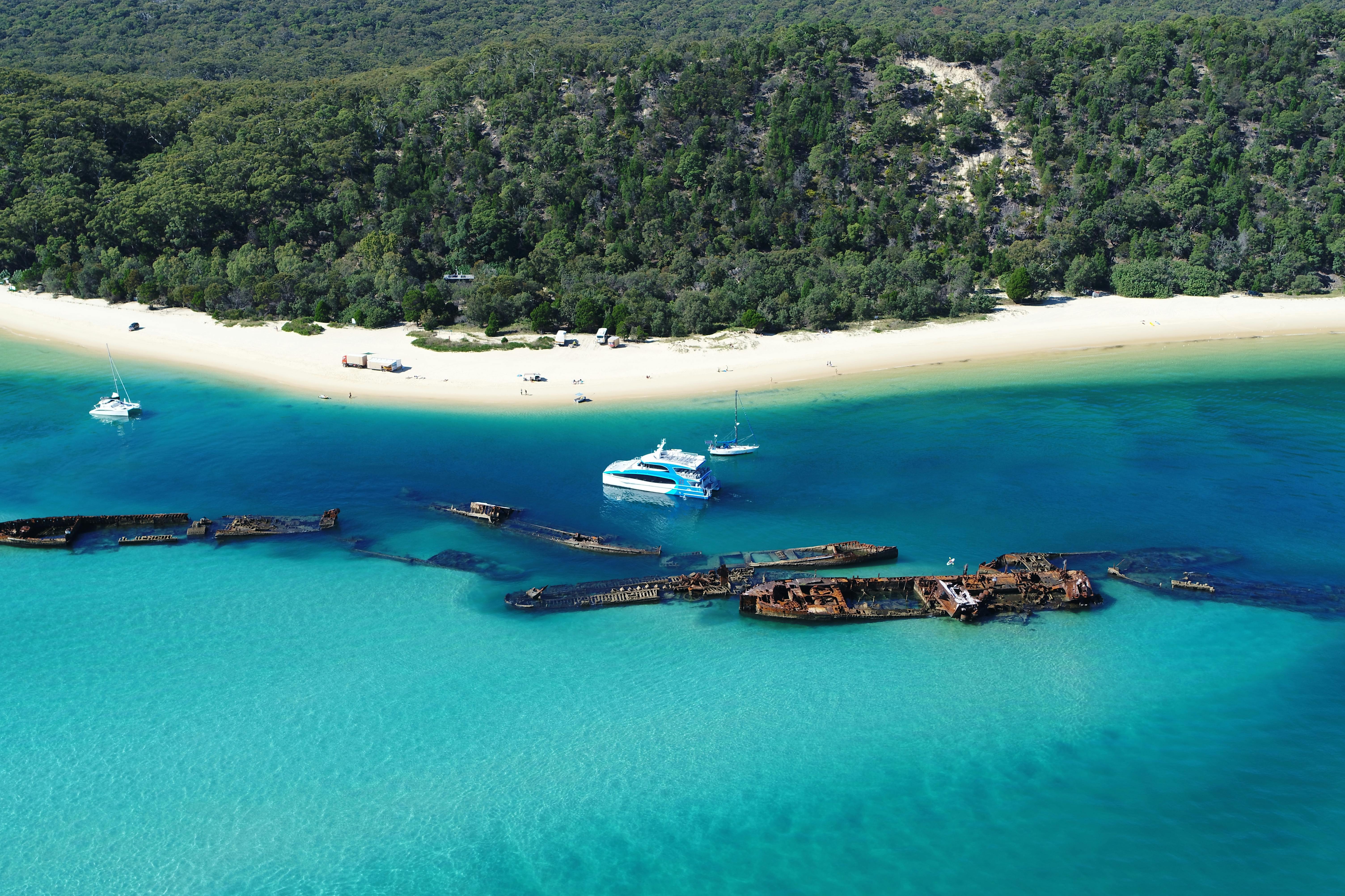 Moreton Bay Marine Park full-day tour with transfer from Gold Coast Musement