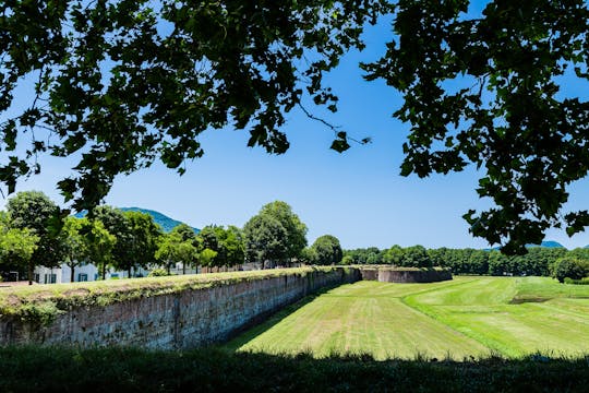 Tour guiado en bicicleta eléctrica por Lucca con degustación de vinos