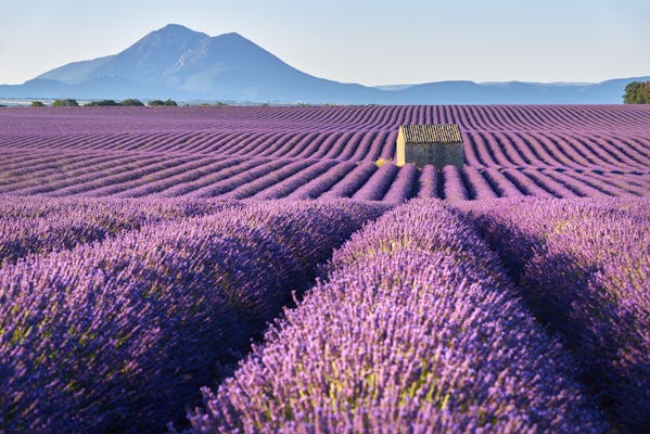 Provence & Lavendel privater Ausflug von Nizza aus