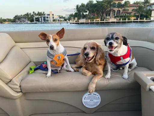 fareharbor-lagerheadcycleboats__clearwater|299886-569446