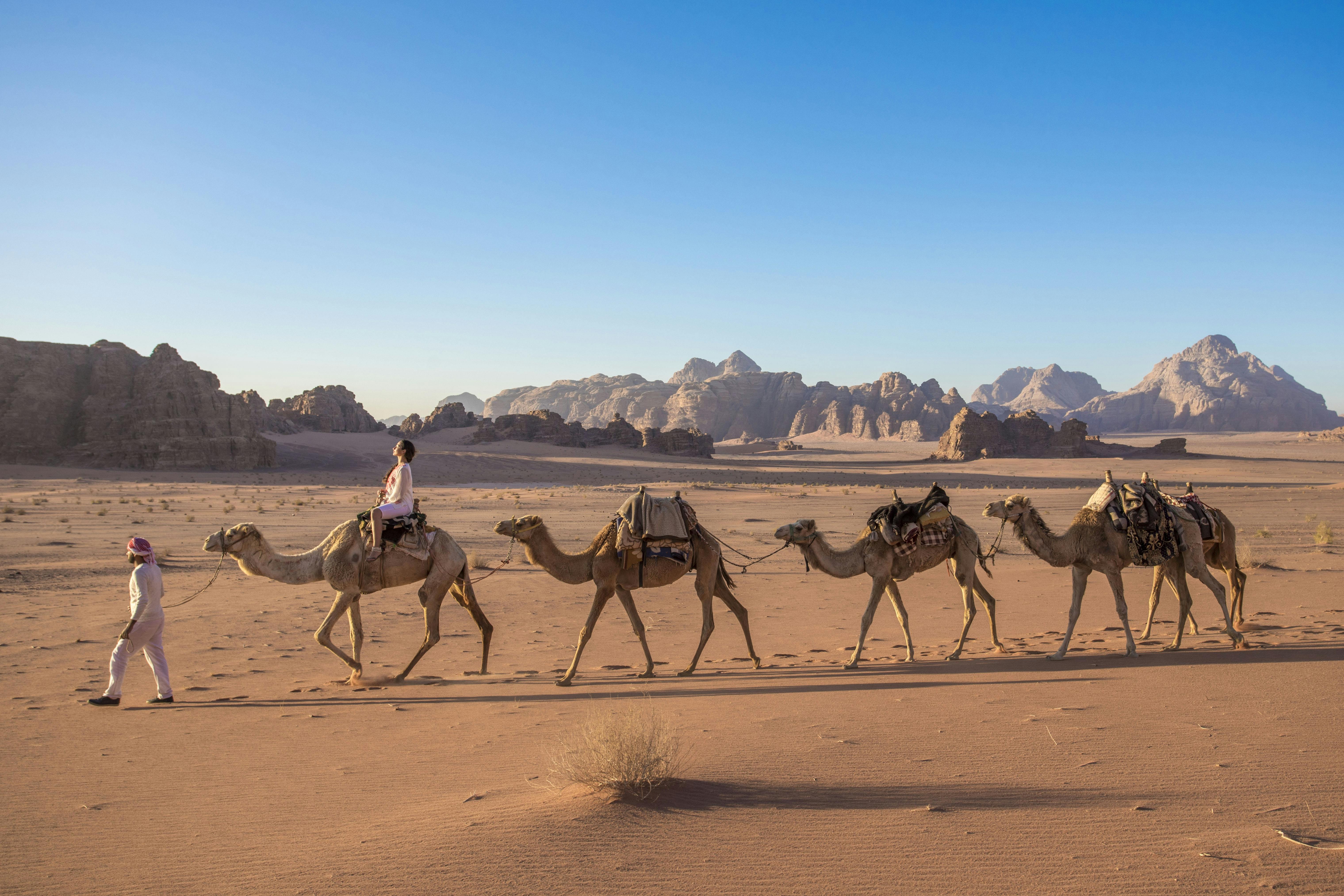 Wadi Rum private tour from Dead Sea Musement