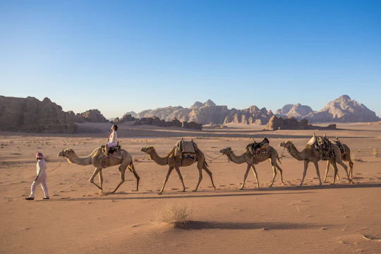 Wadi Rum private tour from Dead Sea