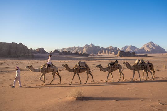 Prywatna wycieczka po Wadi Rum z Morza Martwego?