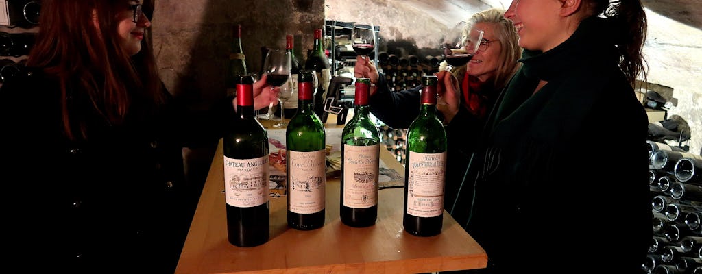 Tour del vino delle vecchie annate di Bordeaux con visita alla cantina e degustazioni