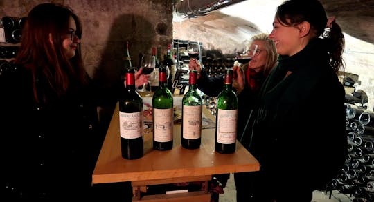Excursão de vinhos de safras antigas de Bordeaux com visita à vinícola e degustações